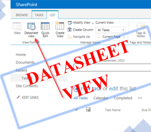 Datasheet View in SharePoint|